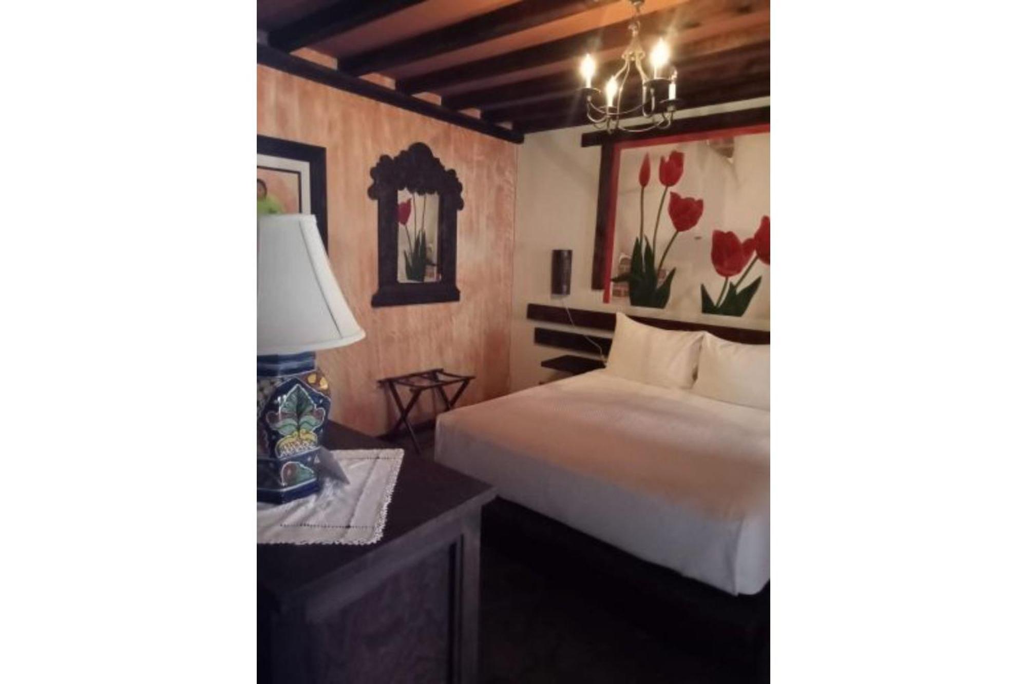 Hotel Boutique Posada De Las Flores Loreto Exteriér fotografie