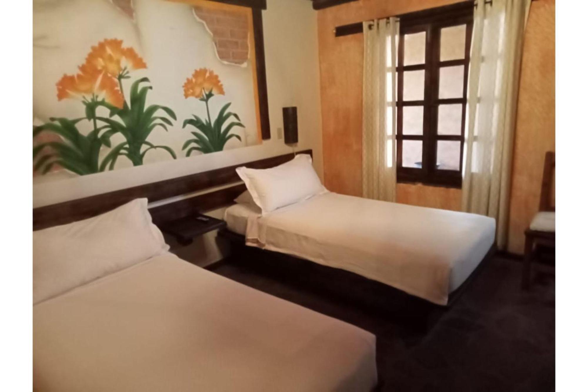 Hotel Boutique Posada De Las Flores Loreto Exteriér fotografie